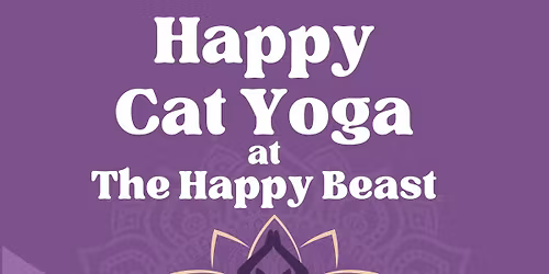 Happy Cat Yoga