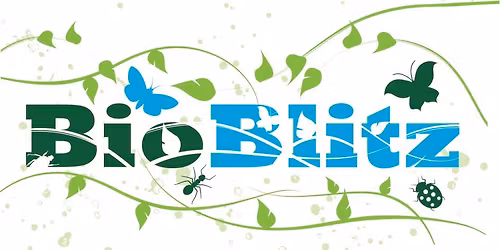 BioBlitz at Indian Lake State Park