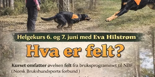 Felts\u00f8kskurs ( NB Fullsatt \u203c\ufe0f)