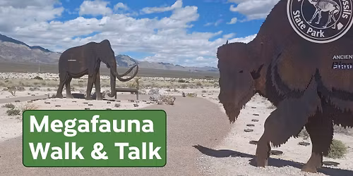 Megafauna Walk & Talk