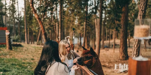 Paint & Sip with the Alpacas - TNP Alpaca Rescue