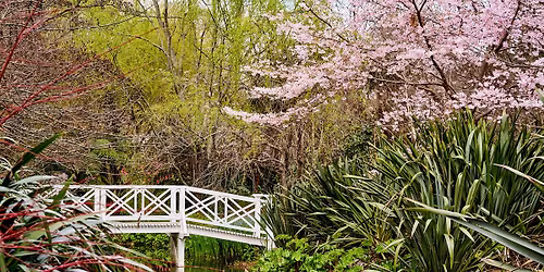 The Wairarapa Garden Experience
