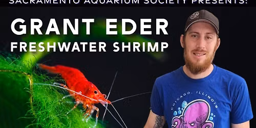 Grant Eder - Freshwater Shrimp - SAS General Meeting