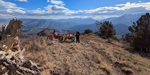 Beta Demo Rides