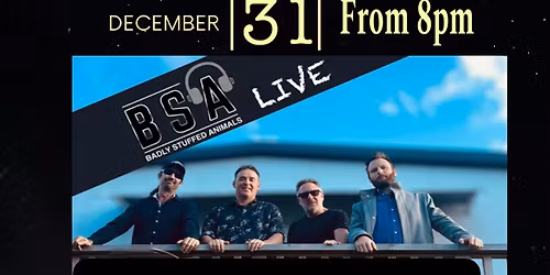 Backyard New Years Eve Party! - Badly Stuffed Animals(BSA)BAND