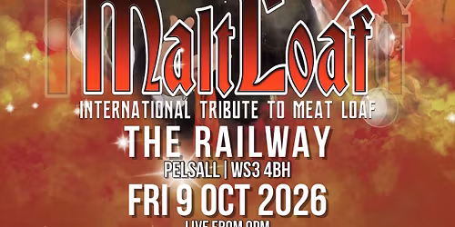 Malt Loaf Solo Show live at Railway Inn, Pelsall