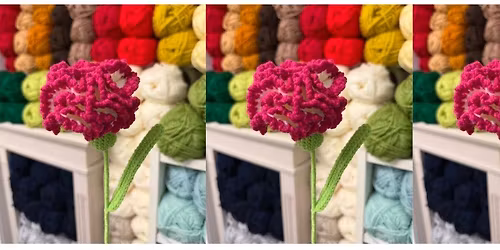 Crochet Flower Bouquet - Carnation! - 2 Week Workshop!