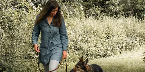 The Connected Dog - Training Class