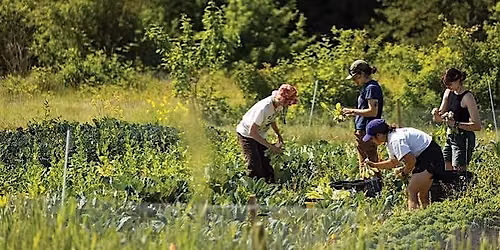 Soil and Supper: The Theology of Farming and Shared Meals