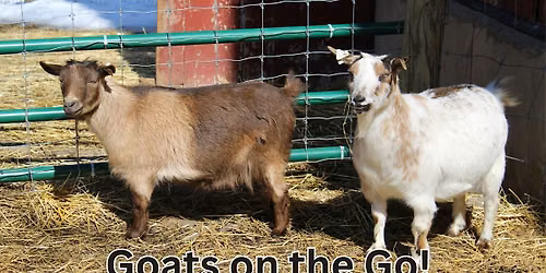 Goats on the Go!