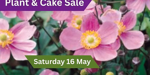 Plant & Cake Sale