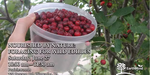 Nourished by Nature: Foraging for Wild Edibles