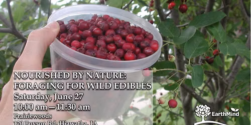 Nourished by Nature: Foraging for Wild Edibles