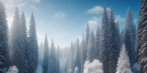 Wieczorny Bieg Szlakiem Pluderskich Staw\u00f3w XI edycja 