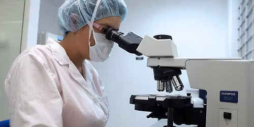 Die Suche nach dem molekularen Jungbrunnen f\u00fcrs Gehirn