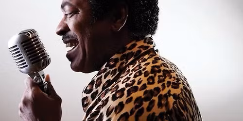 Mr. Motown at Walking Tree Brewery