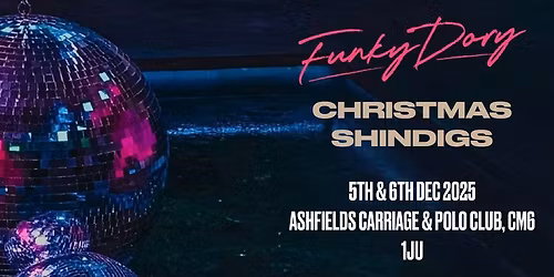 Funky Dory Christmas Shindig