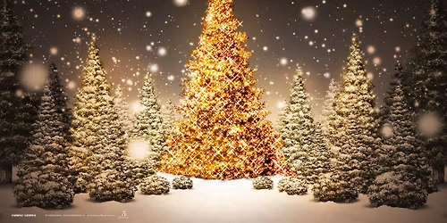 16th Annual Carlisle Christmas Craft Show