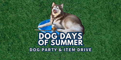 Dog Days of Summer
