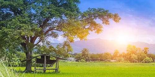 \u0e1b\u0e23\u0e32\u0e07\u0e1b\u0e23\u0e32\u0e07\u0e17\u0e34\u0e1e