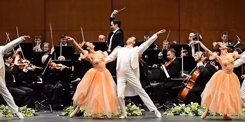 Concert d'Any Nou - Strauss Festival Orchestra