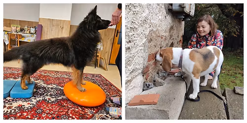 PLNO - V\u00edkend pln\u00fd noseworku a dogfitness X - leden 2026