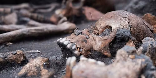 Foredrag: 900 \u00e5r gammel gravplads fort\u00e6ller ny historie om Aarhus