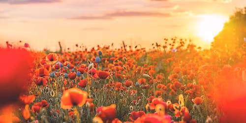Festival of Remembrance
