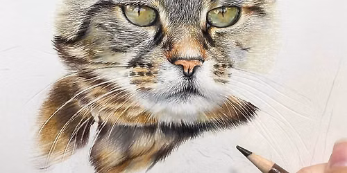 Draw What You See: Art course Chester - Beautiful Sketching for Absolute Beginners \u2013 Chester