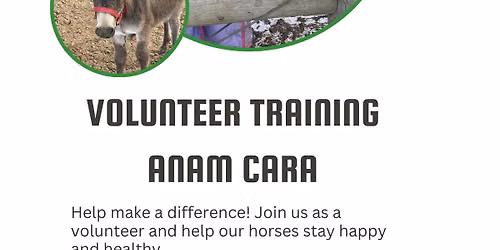 Volunteer Traning