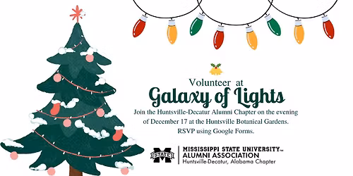 Volunteer at Galaxy of Lights