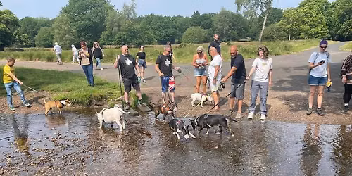 Chasewater