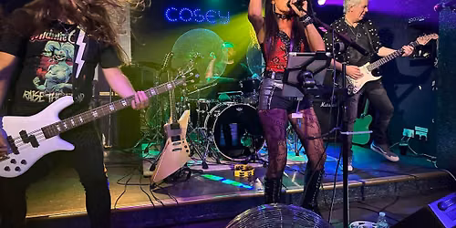THE VANZ at The Cosey