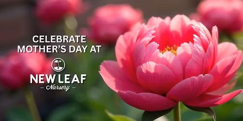 Mother's Day at New Leaf
