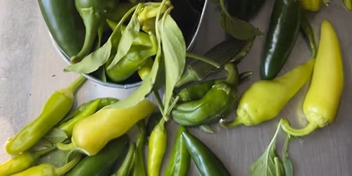 The Ville Family Garden Work Day