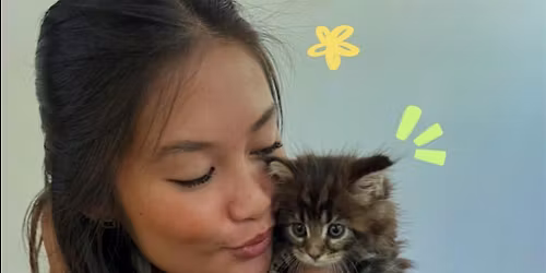 \u2b50ALMOST SOLD OUT\u2b50  Purr-lates: Pilates with Adoptable Kittens in Chicago