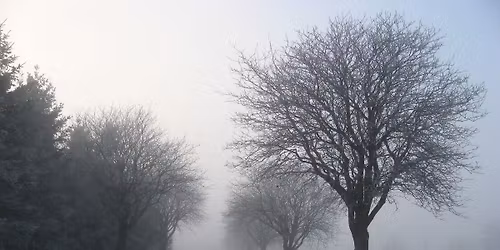 Winter Winds Road Races