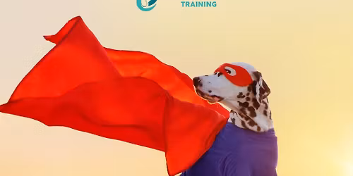 Dartford Dog First Aid Workshop (Hosted)