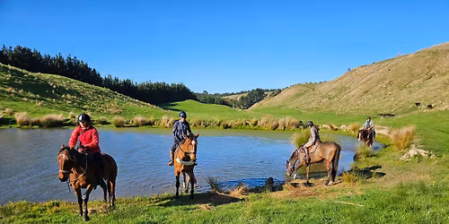 Adult Horse Riding Camp