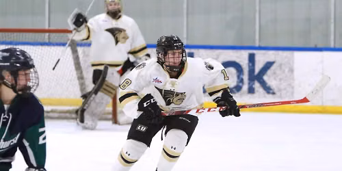 Robert Morris Colonials at Lindenwood Lions Womens Hockey