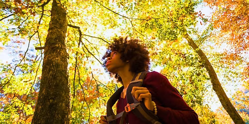 Mindfulness Stroll (Adults & Ages 8+)