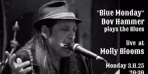 "Blue Monday" - Dov Hammer plays the Blues live at Molly Blooms!