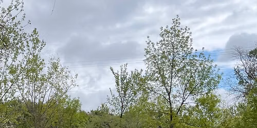Free QiGong and Tai Chi @ Wilderness Park