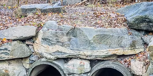 Fra problem til potensial: slam som ressurs i en sirkul\u00e6r fremtid