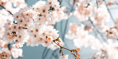 Spring Equinox Energy, Salt, & Sound Activation