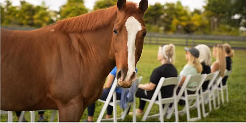 The Equine Healing Collective \u2728
