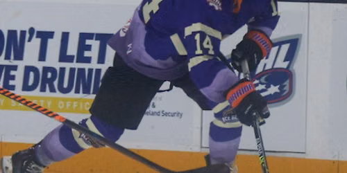 Quad City Storm vs. Knoxville Ice Bears