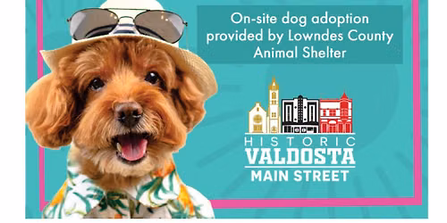 ValDOGsta Day of Summer