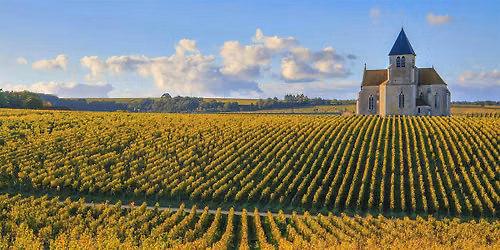 Wine 201: Burgundy