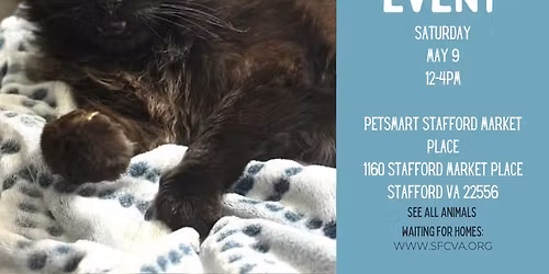 5\/9 Adoption Event at PetSmart Stafford Market Place